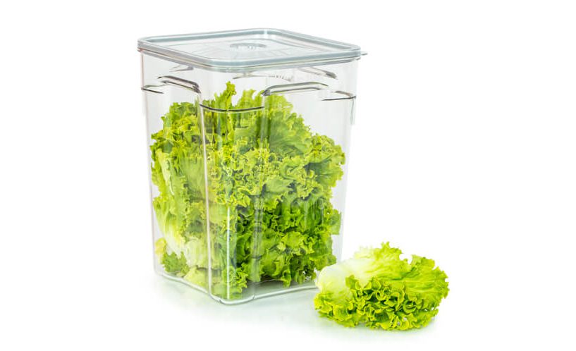 10 litre food container