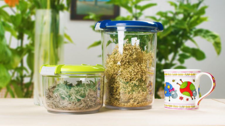 round containers for tea and herbs