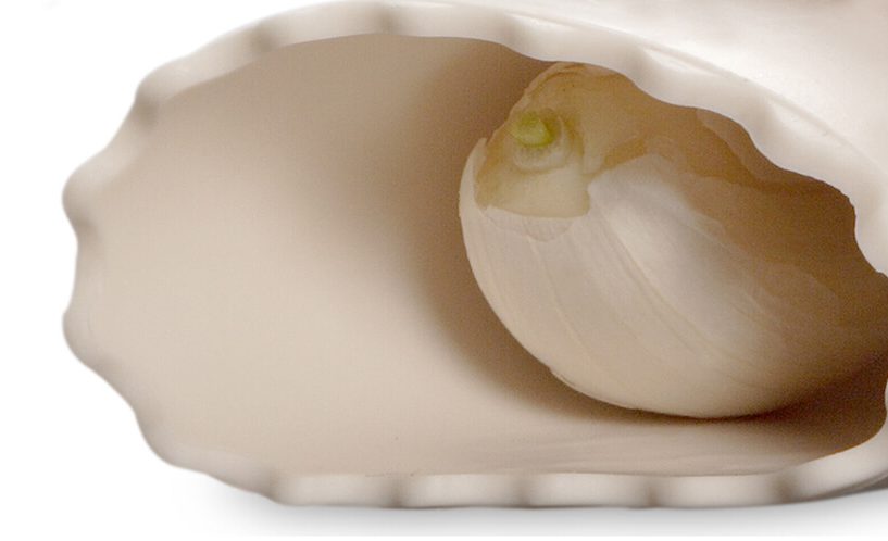 Garlic Peeler