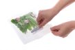vacuum packed string beans