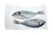 how to store fish for longer?