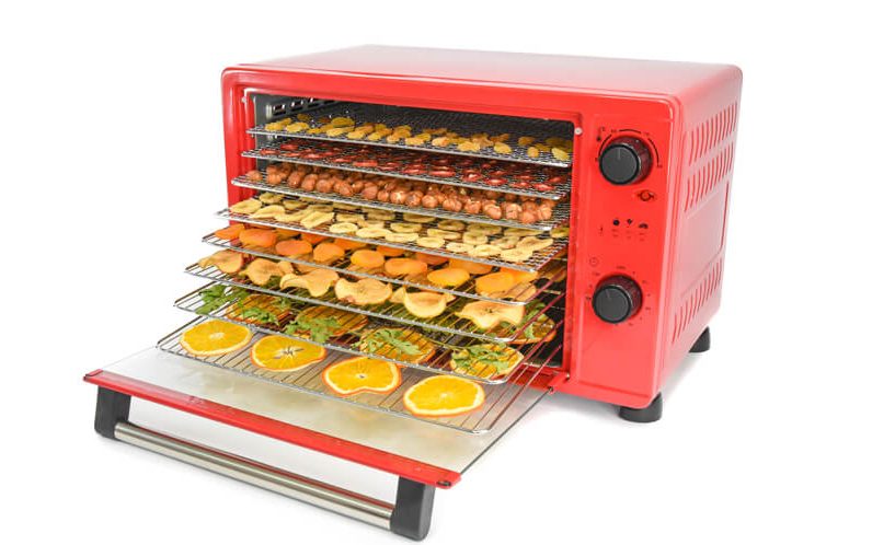 food dehydrator dried fruit