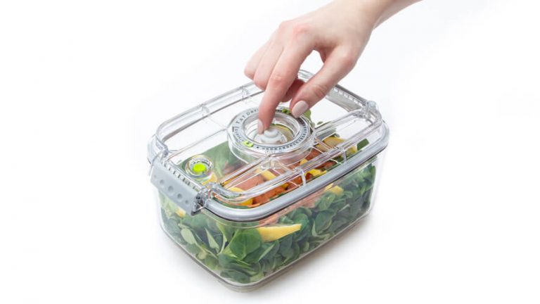 see through food container