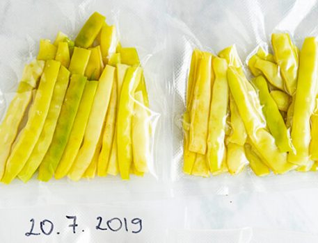 freezing vegetables in Status vacuum bags to protect the quality of the food
